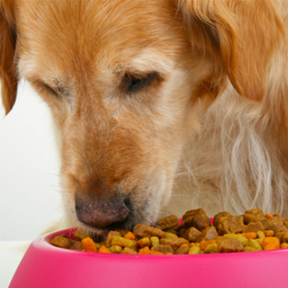 สูตรอาหารตามช่วงอายุ (Nutrition)